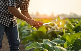 Agricultura y paisajismo